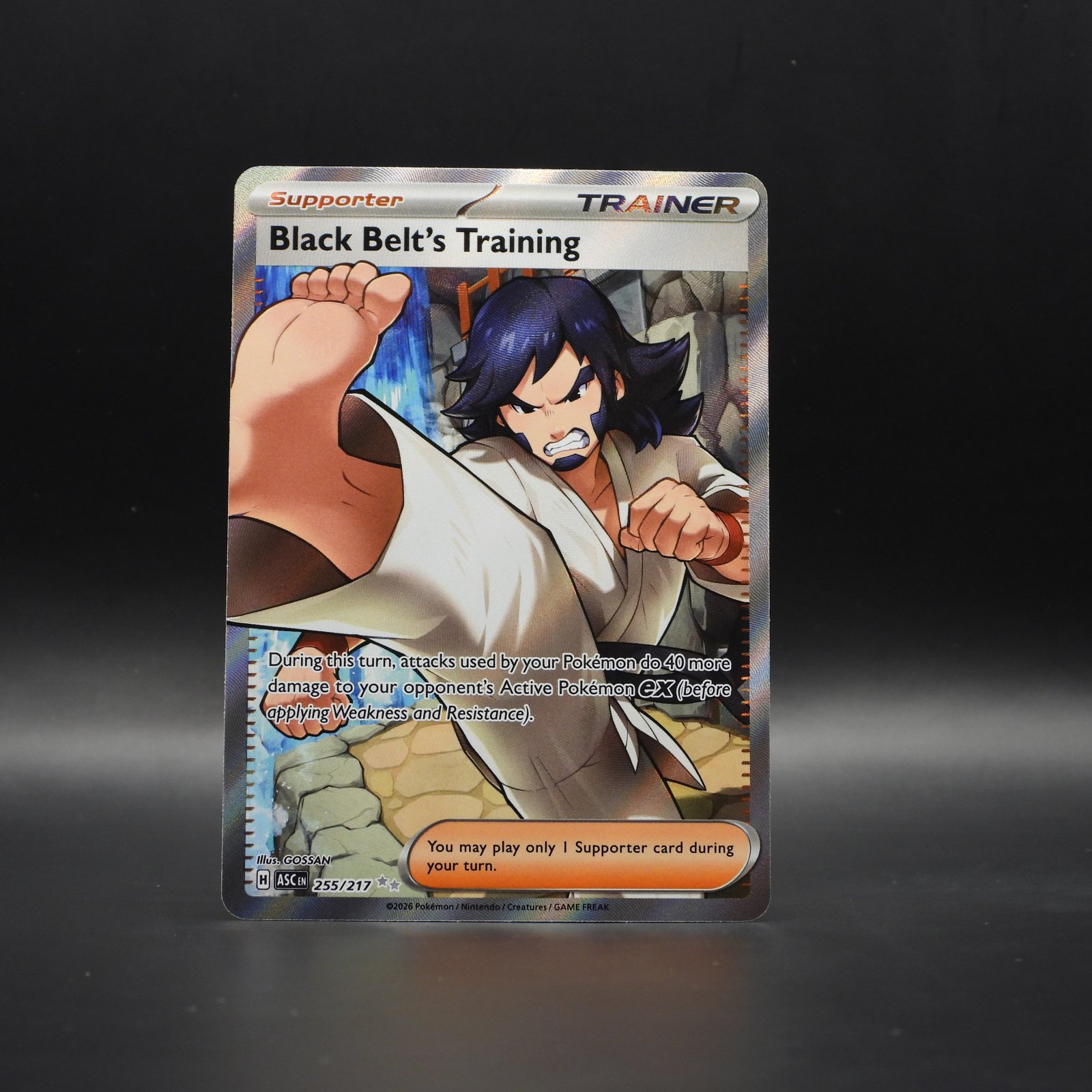 Black Belt's Training (ASC 255) - Image 1