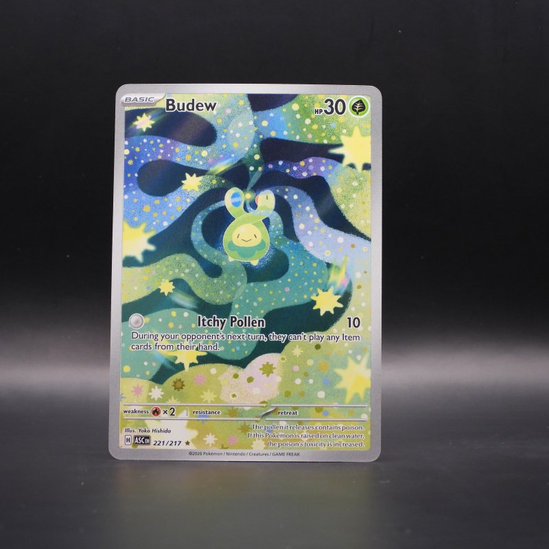 Budew (ASC 221)