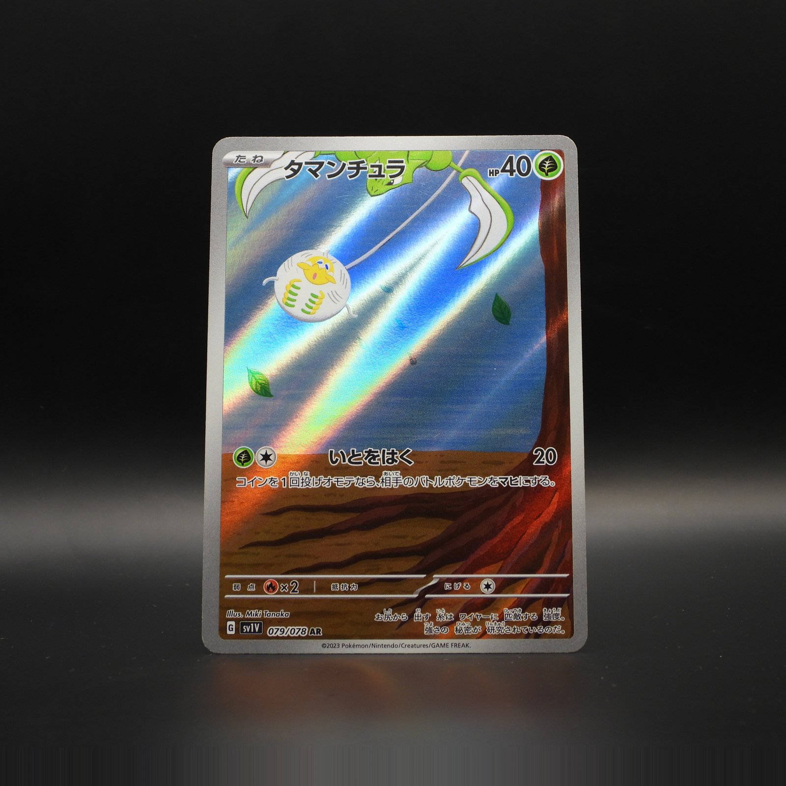 Tarountula sv1V 079 - Image 1