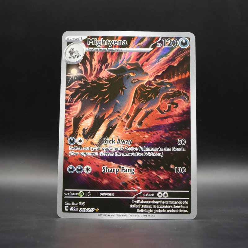 Secret Cards - Everything You Need for Your Pokémon Collection