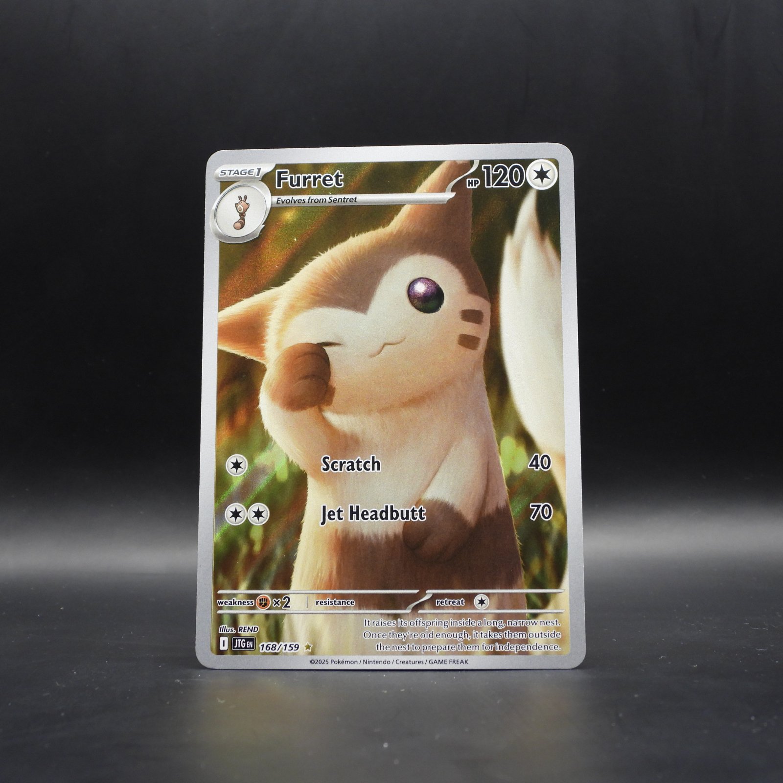 Furret (JTG 168) - Image 1