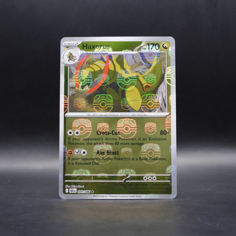 Haxorus (xBLK 070)