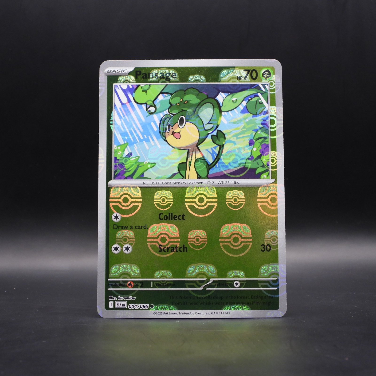 Pansage (xBLK 004) - Image 1