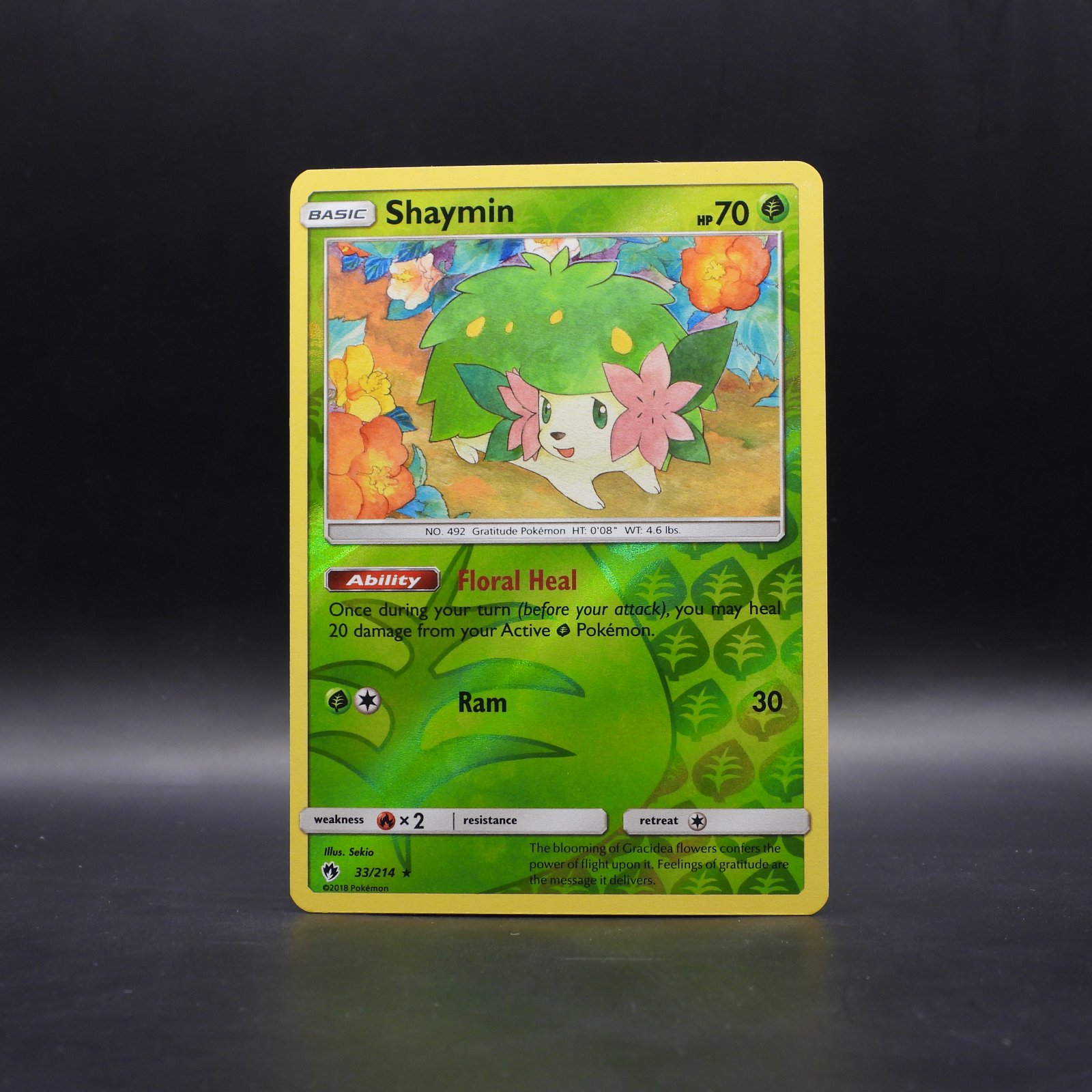 Shaymin (LOT 33) - Image 1