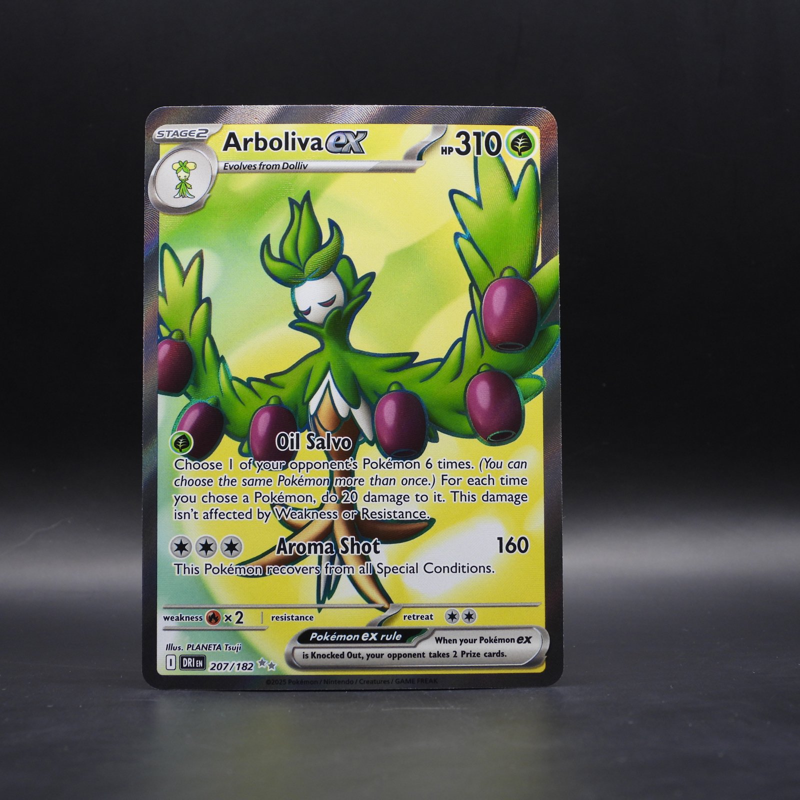 Arboliva ex (DRI 207) - Image 1