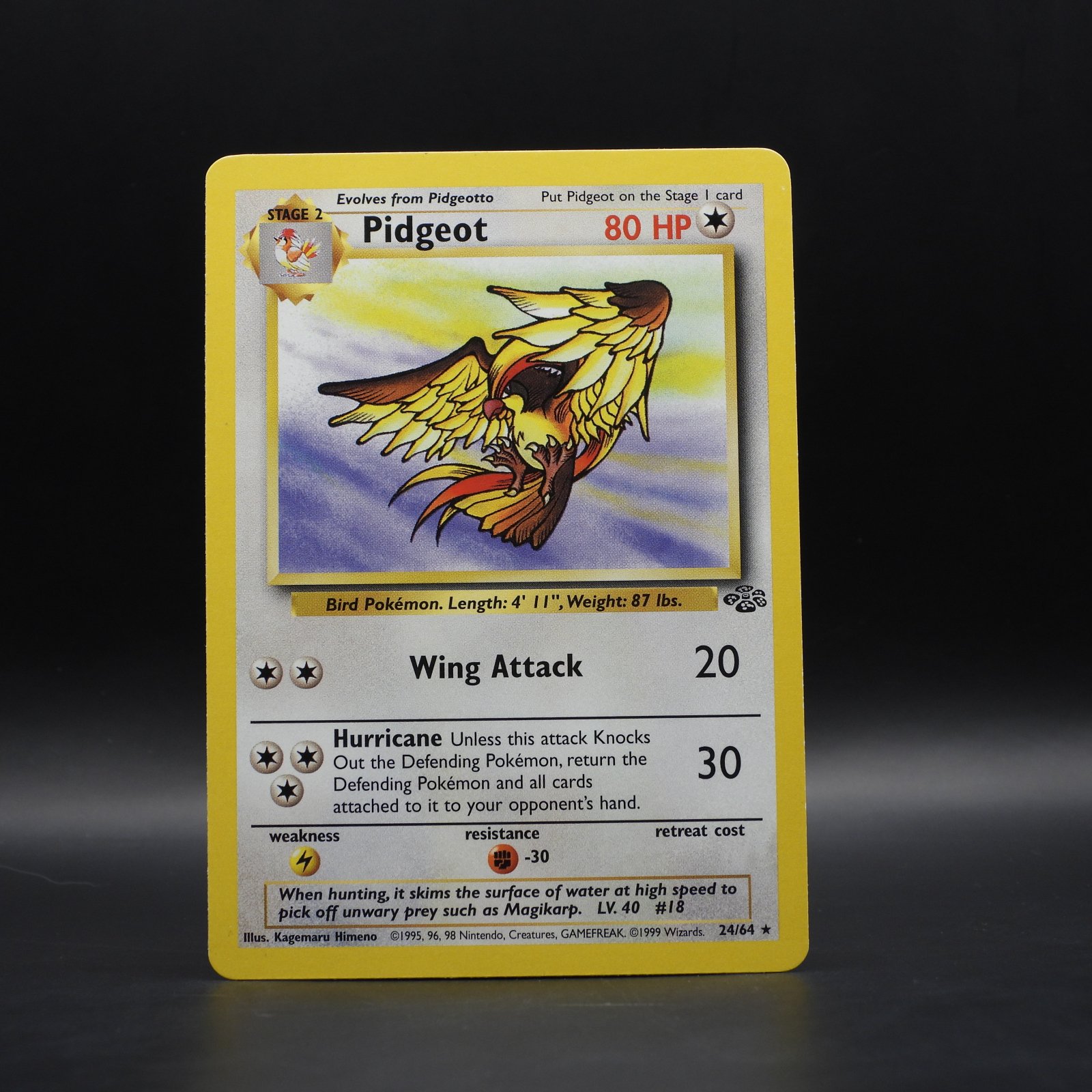 Pidgeot (JU 24) - Image 1