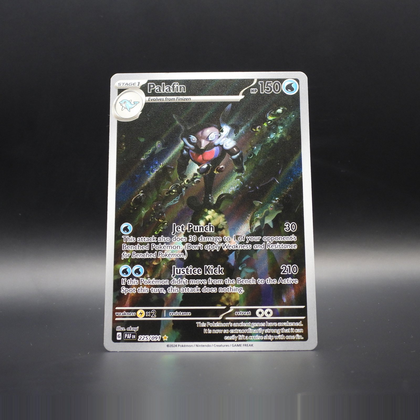 Palafin PAF 225 - Image 1