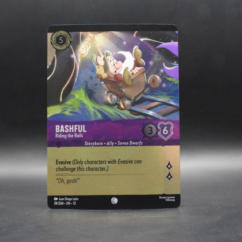 Bashful - Riding the Rails (V.2)