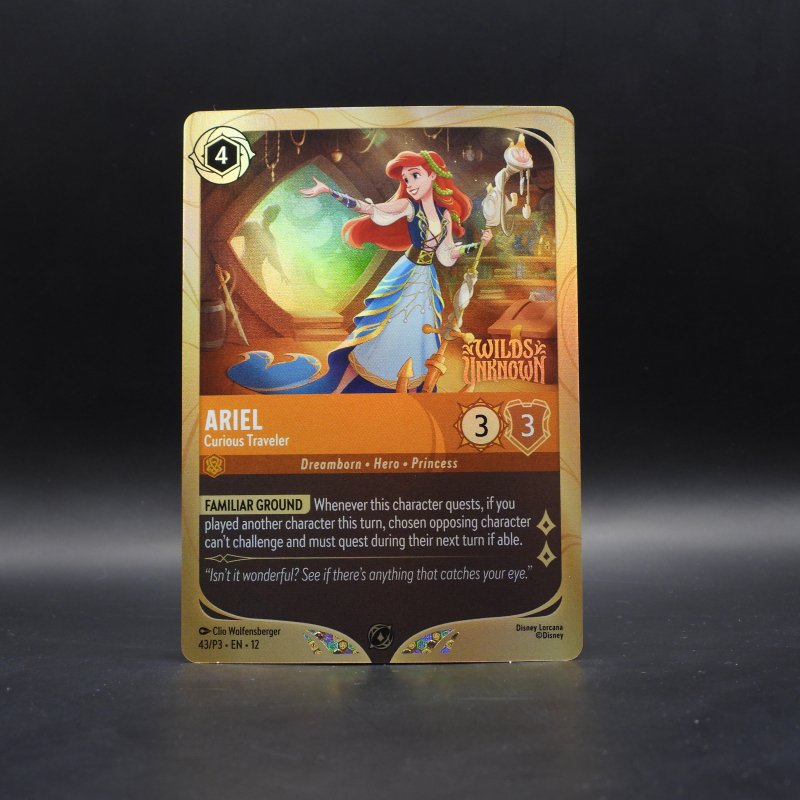 Ariel - Curious Traveler 43/P3