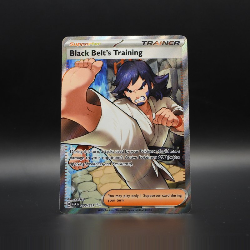 Black Belt's Training ASC 255