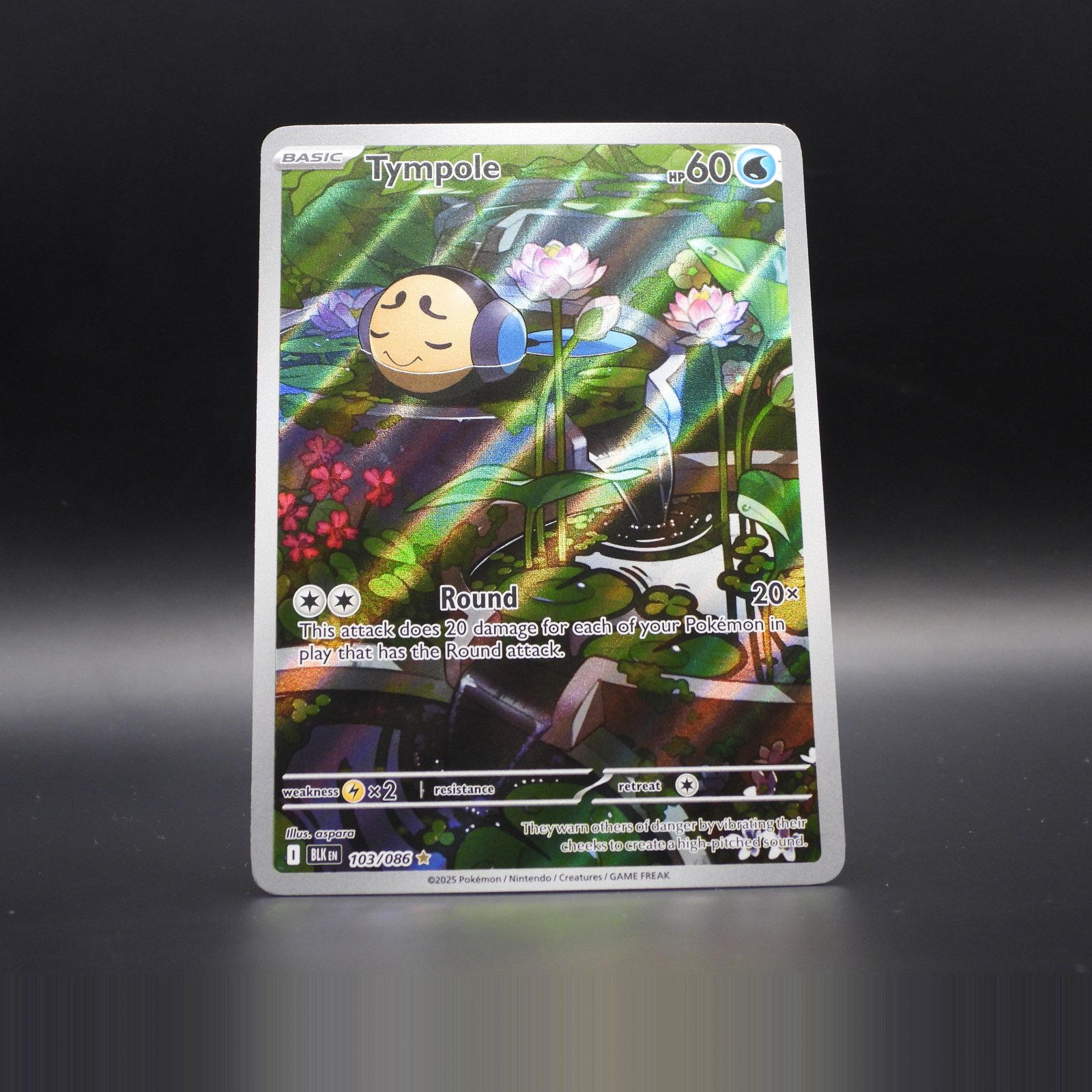 Tympole BLK 103 - Image 1