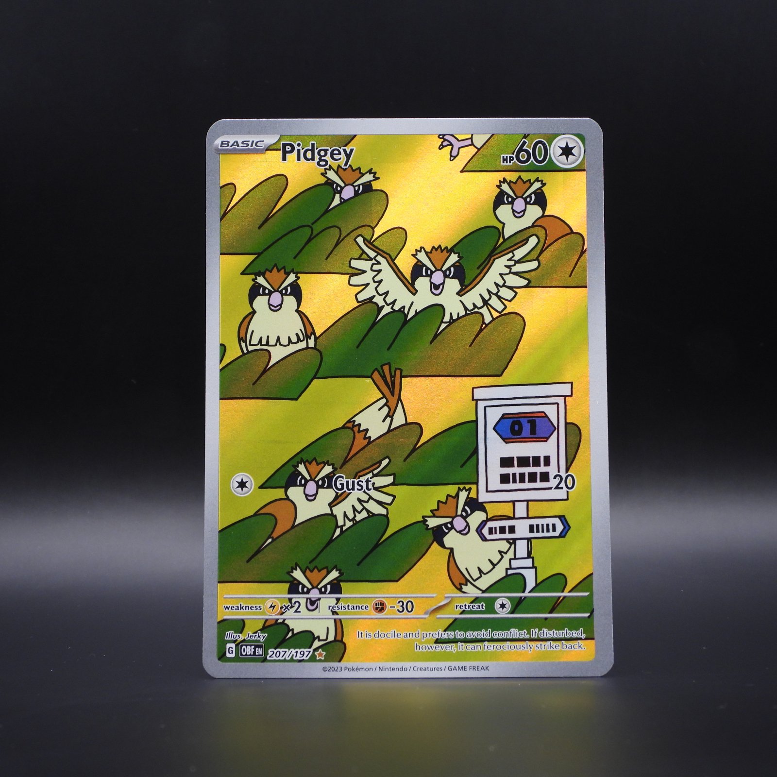 Pidgey OBF 207 - Image 1