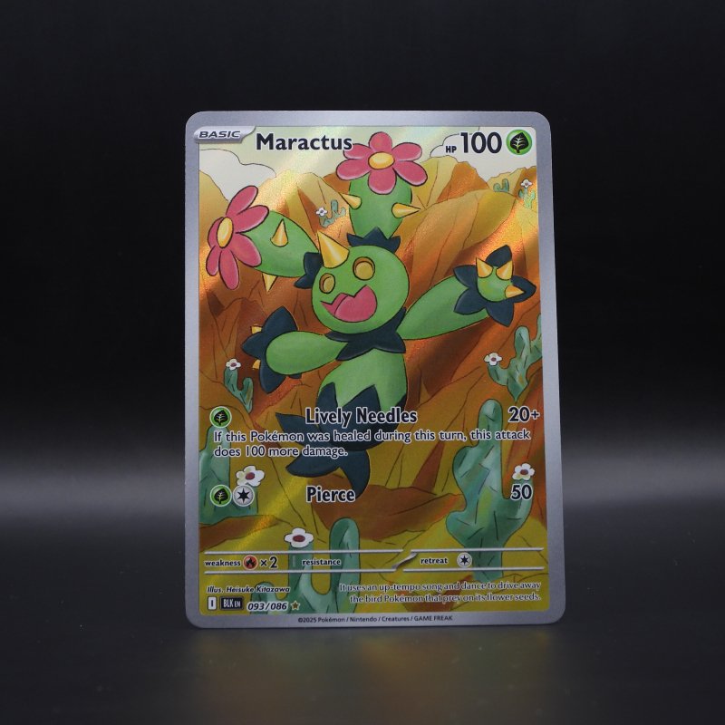 Maractus (BLK 093)