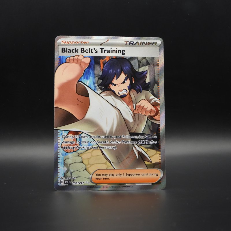 Black Belt's Training (ASC 255)