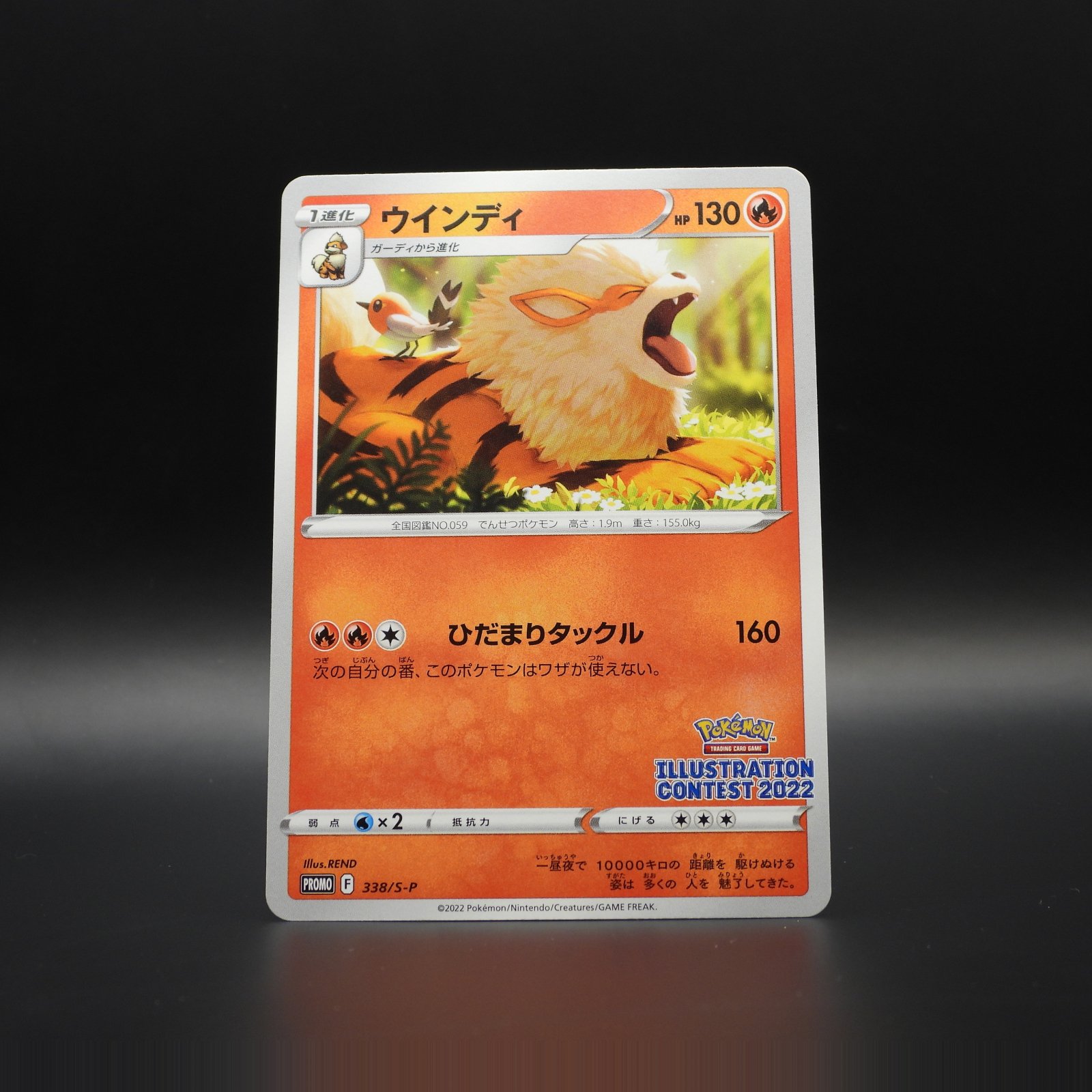 Arcanine S-P 338 - Image 1