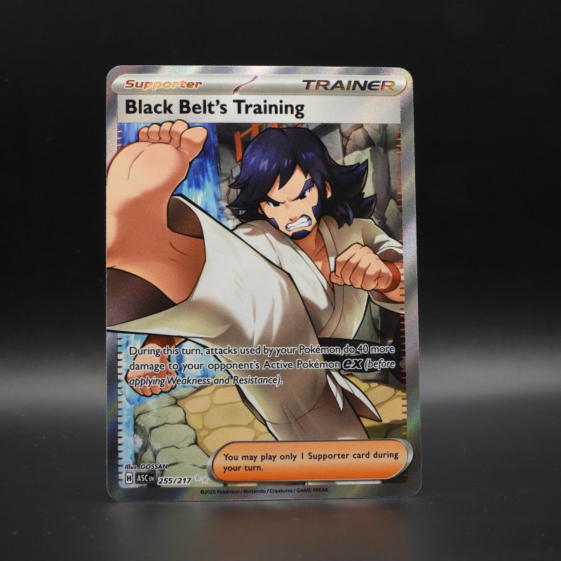 Black Belt's Training (ASC 255)