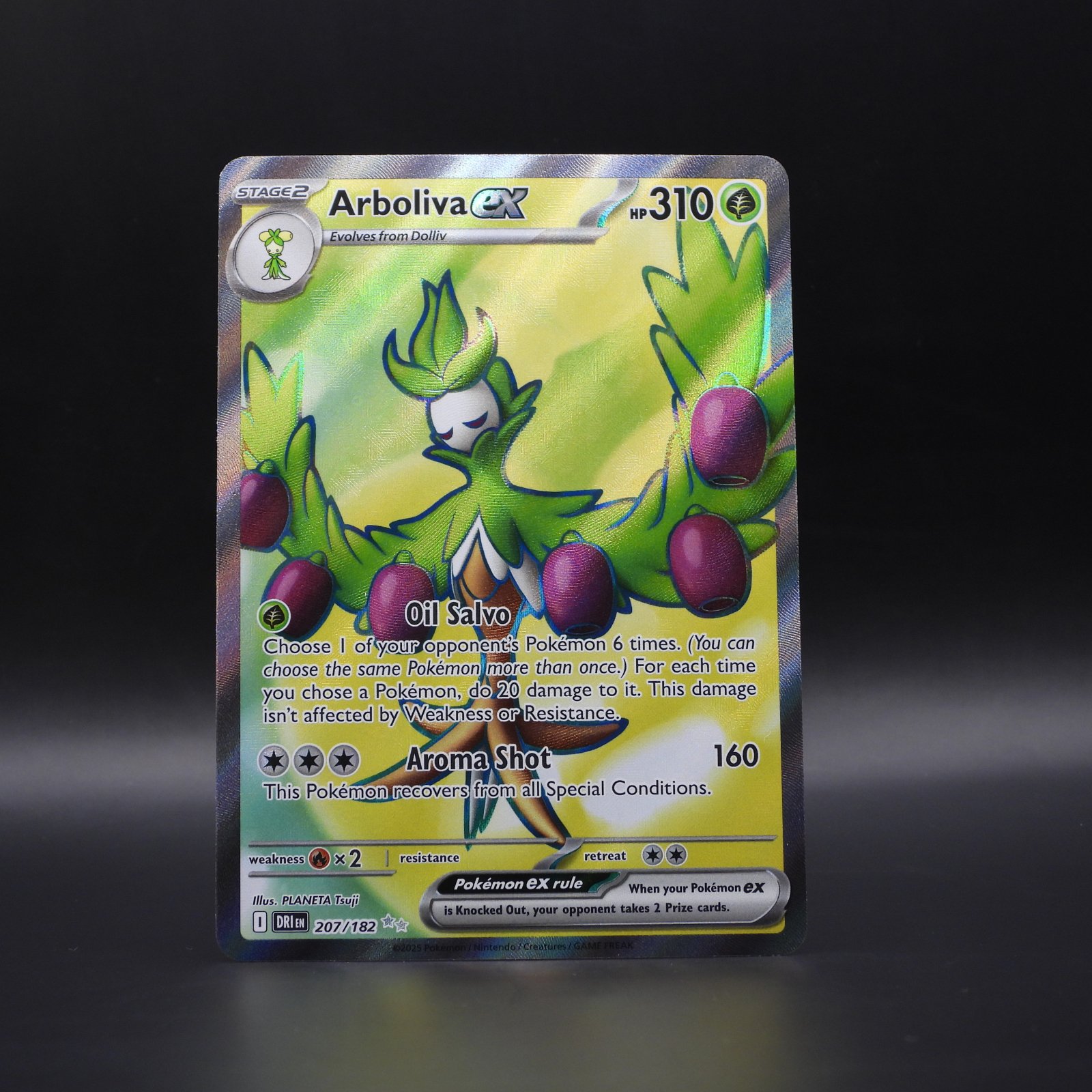 Arboliva ex (DRI 207) - Image 1