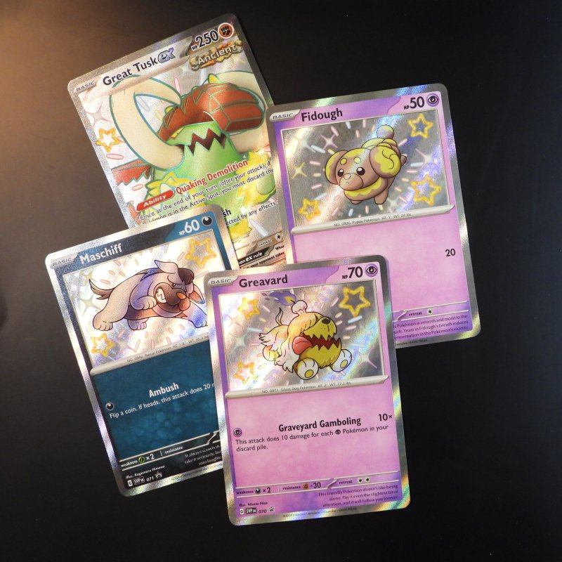 Shiny SVP Fidough / Greavard / Maschiff / Great Tusk