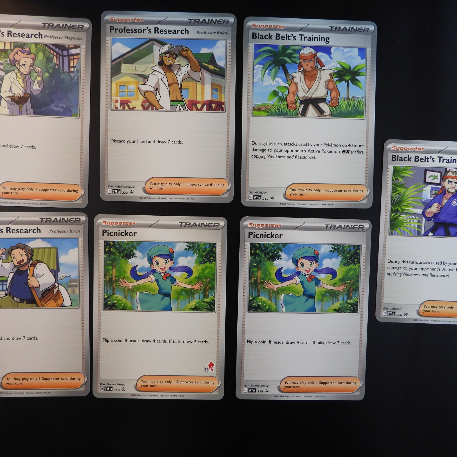 Trainer SVP Picknicker / Black Belt's Training / Professor's Research - Image 2