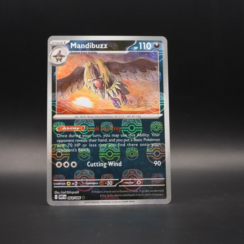 Mandibuzz (xWHT 064)