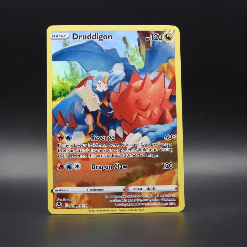 Druddigon (SIT TG09)